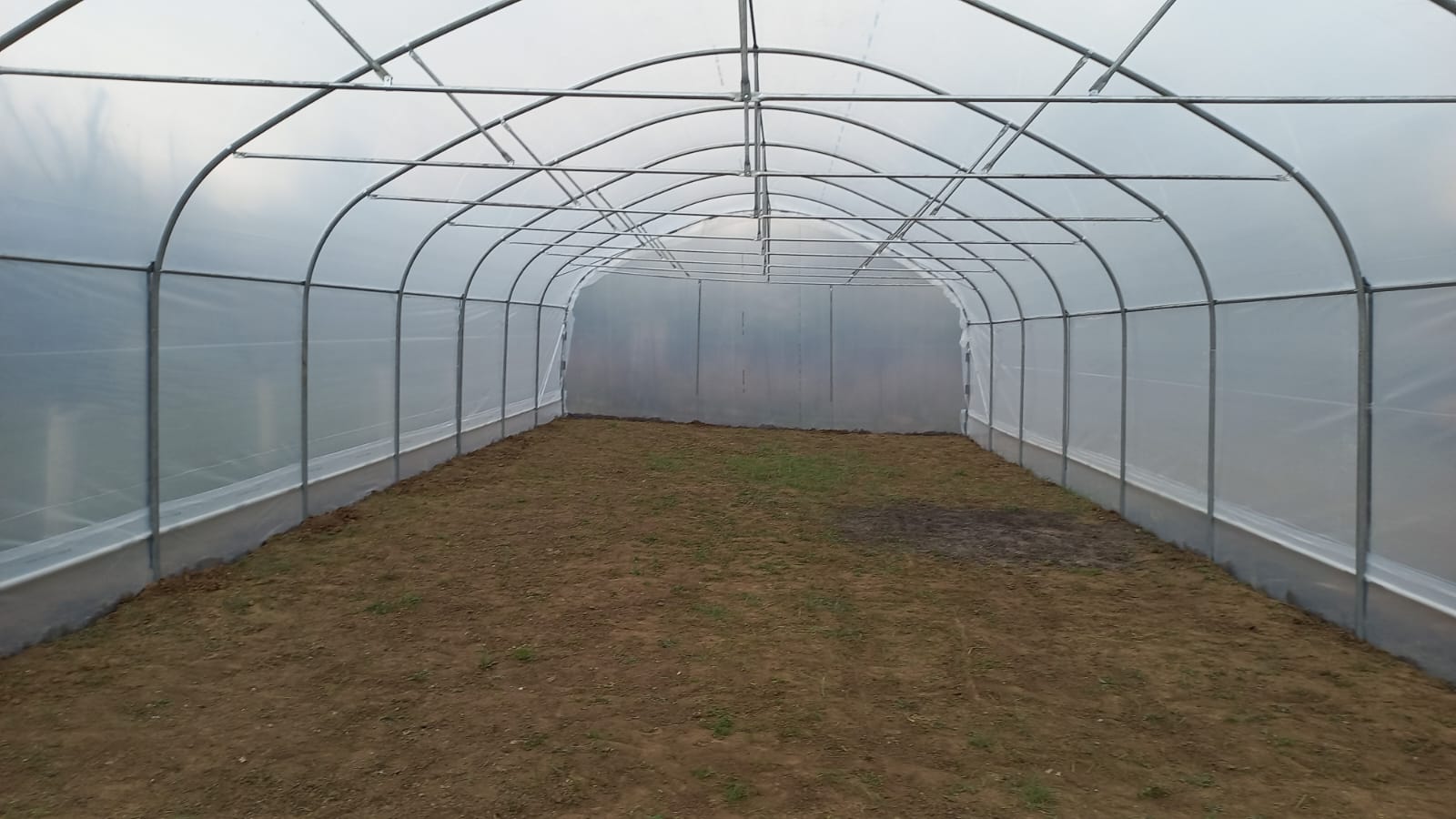 Solar 7m - imagine 2